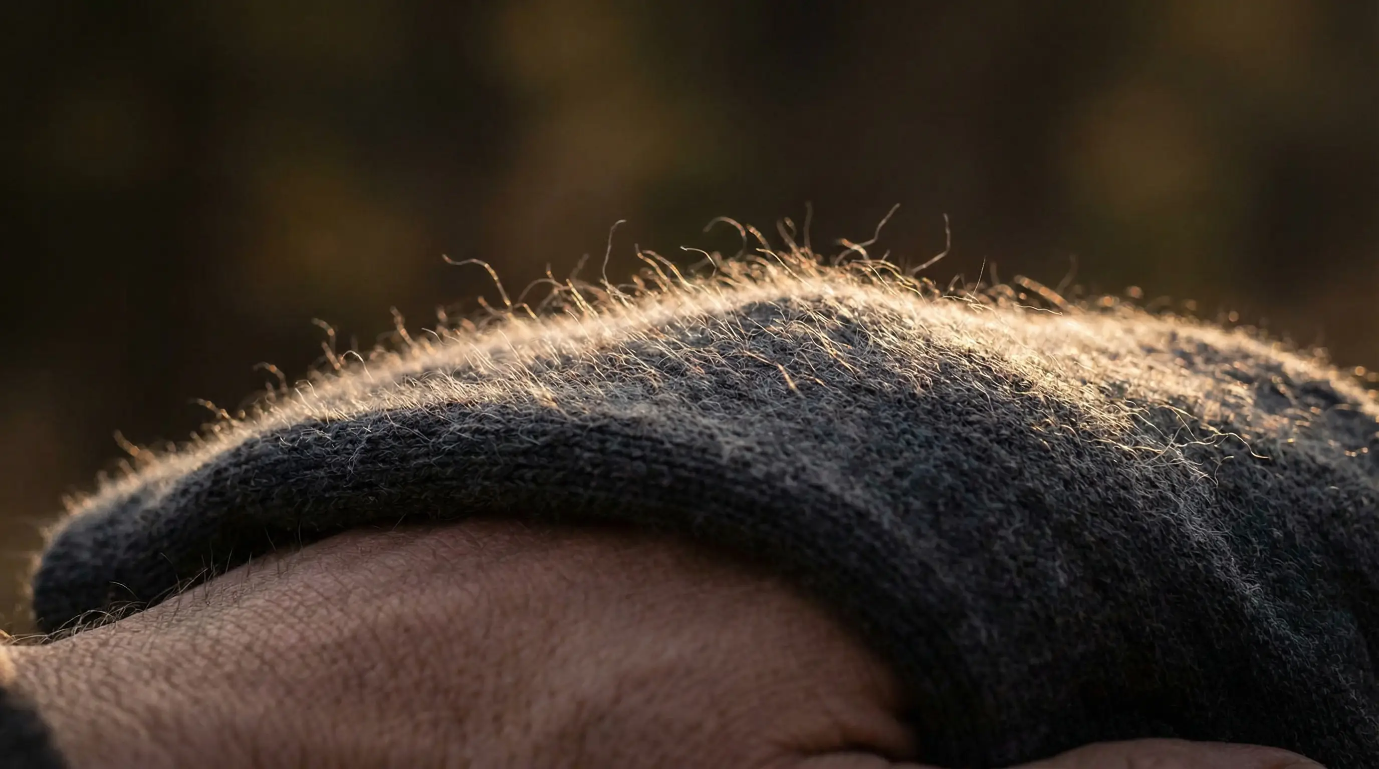 Extreme close-up of soft merino wool fibers catching the light